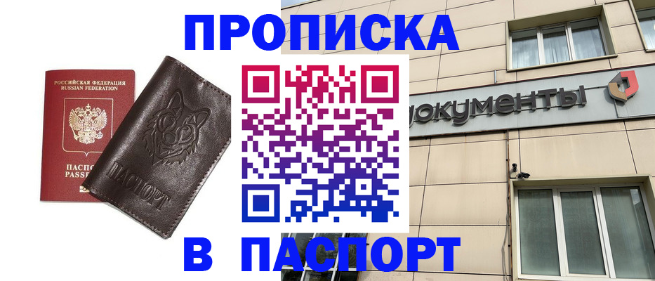 форма 3 в Сольцах